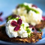 Rygeostcreme på rugbrødschips med purløgsolie